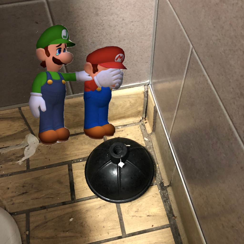 A plunger with no handle next to the toilet. Mario is crying, Luigi is consoling him. 